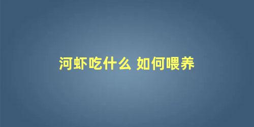 河虾吃什么 如何喂养